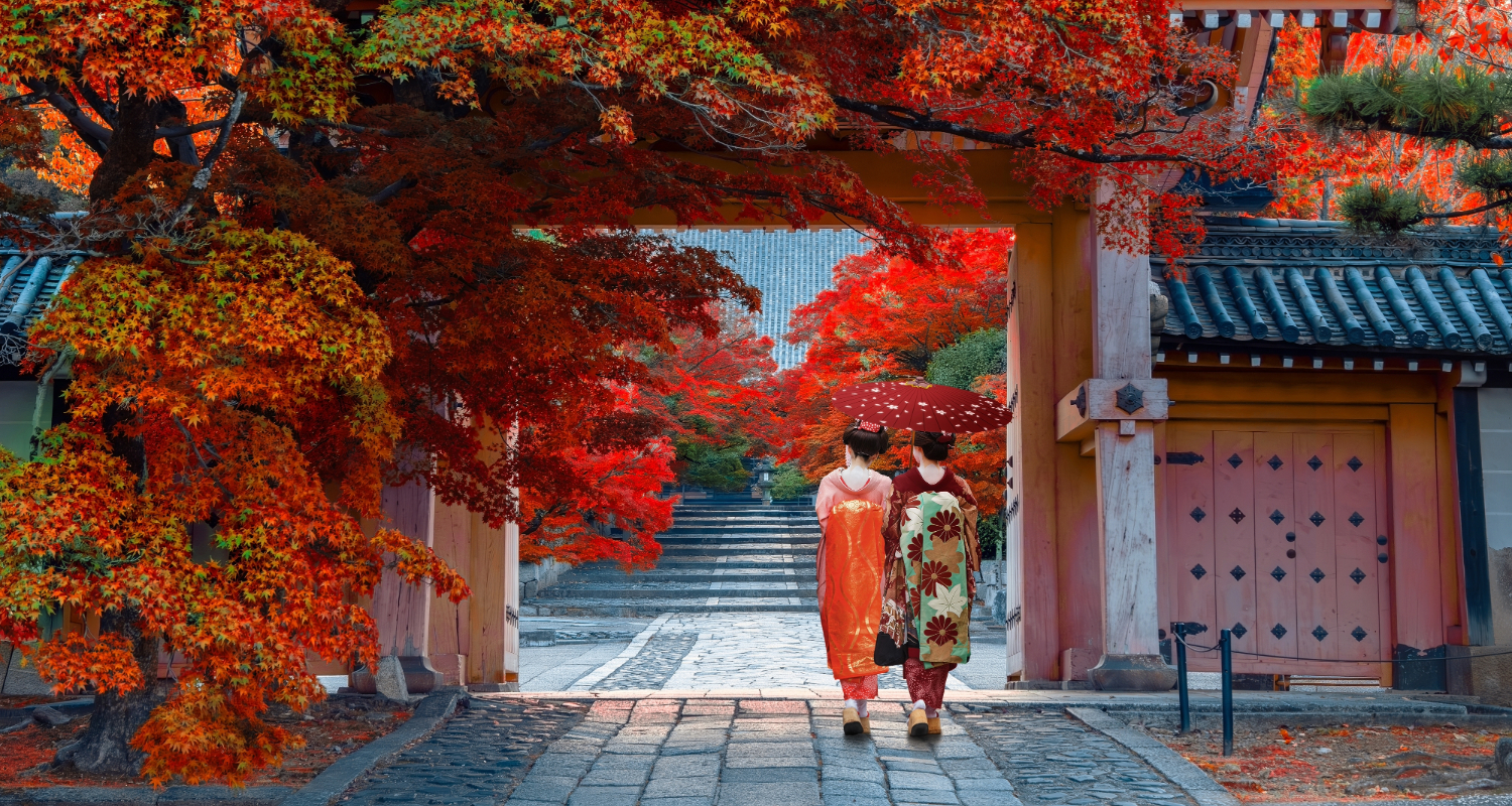 Autumn Sale – Fly Premium for Less